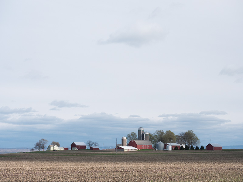Farmland