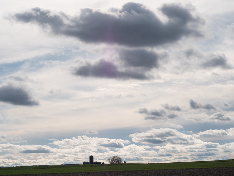 Farmland-2