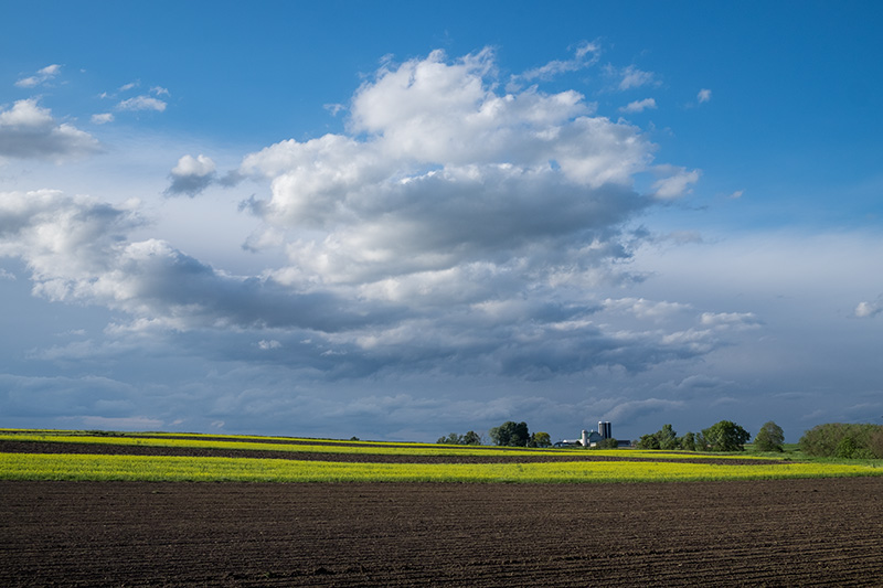 Plowed field-small