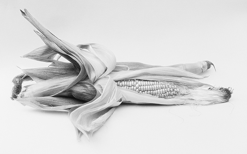 SummerSweetCorn