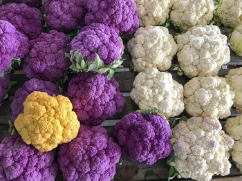 Amish cauliflowers