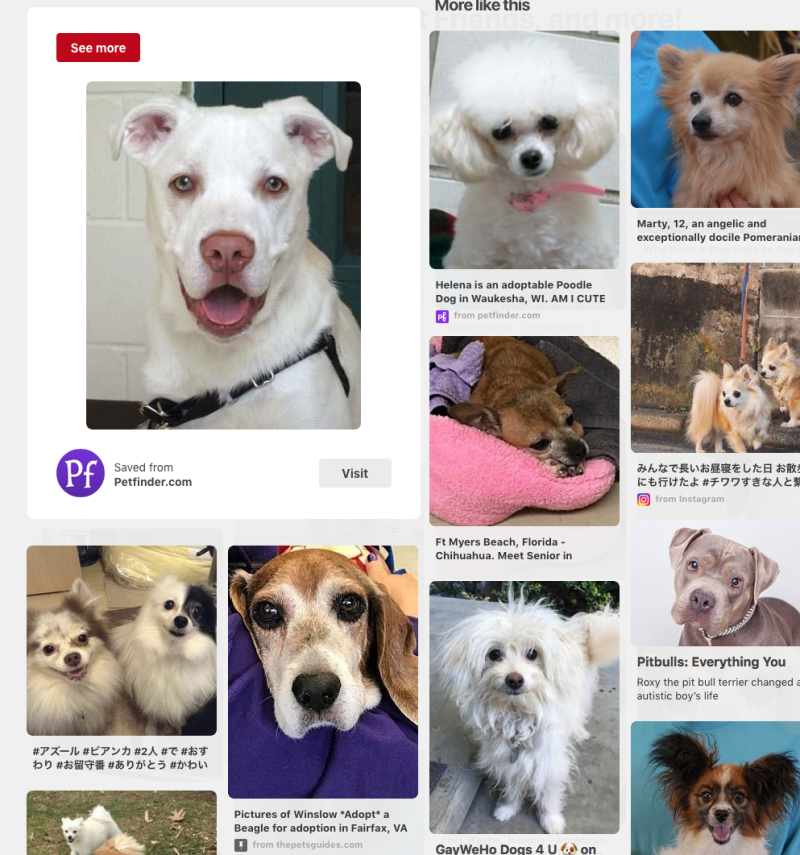 Screen Shot 2018-04-19 at 10.53.14 PM