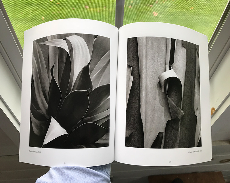 Merg book-small