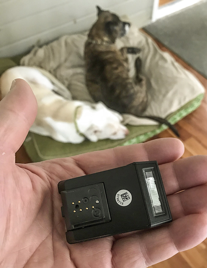 image from https://s3.amazonaws.com/feather-client-files-aviary-prod-us-east-1/2018-10-25/5f170d39-4216-4f3c-814e-44c837b5dcb5.png