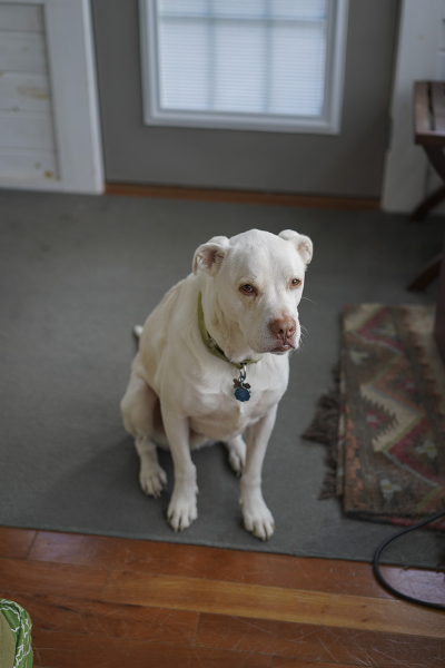 B-man full frame