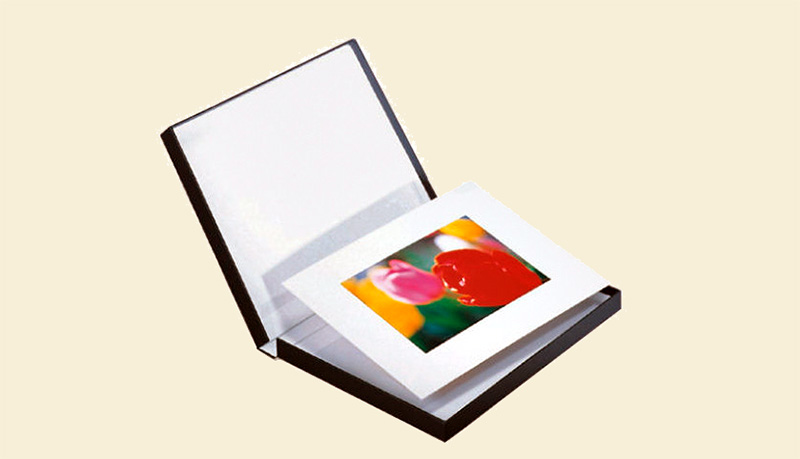 Century archival box