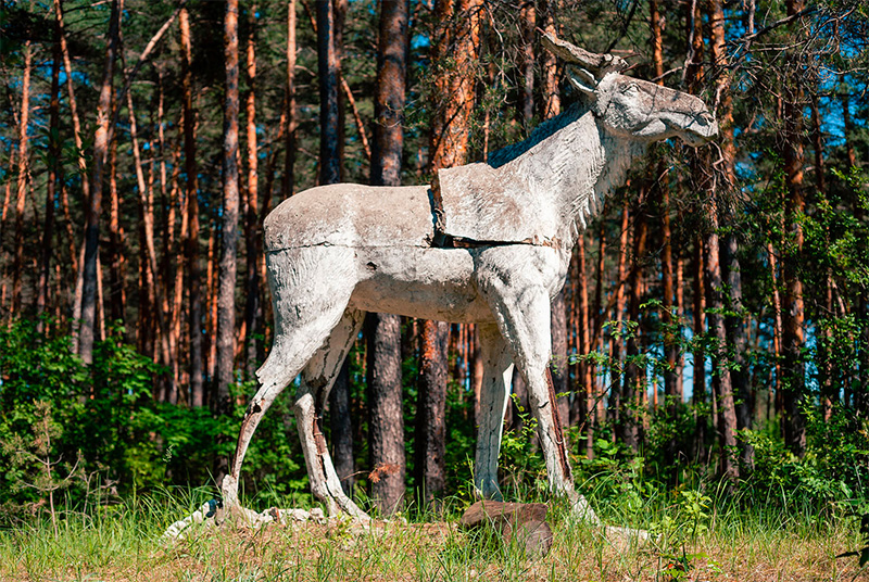 Iavtushenko elk