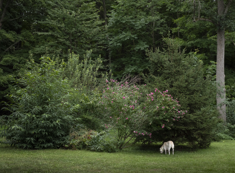 Butters grazing=small
