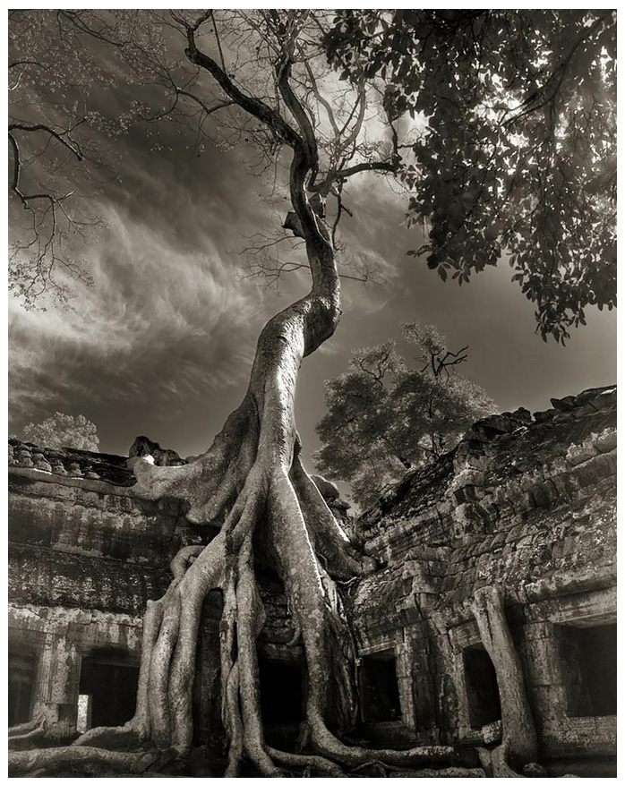Beth Moon