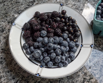 Currants
