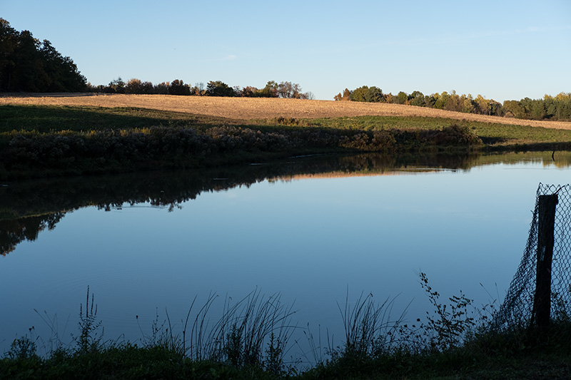 Still pond