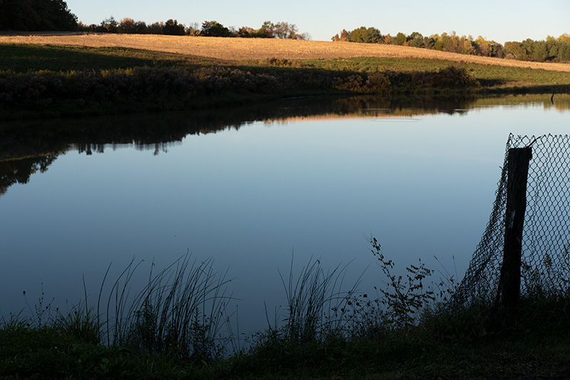 Still pond 2