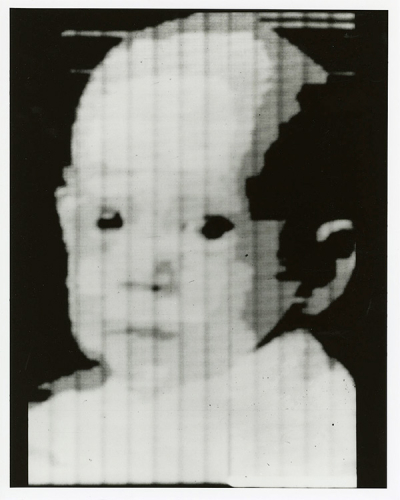 Walden Kirsch