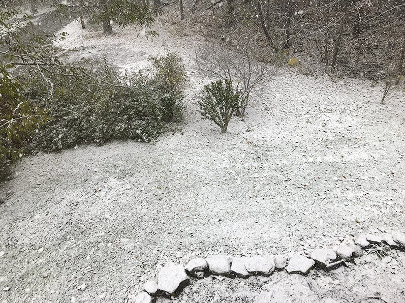 Snow-small
