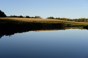 Still pond 3 Still pond 3