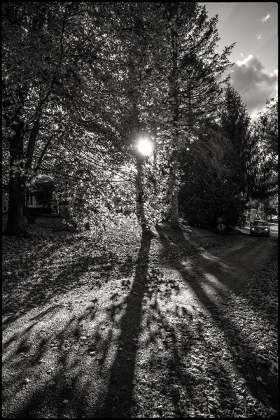 Low-sun-small-2