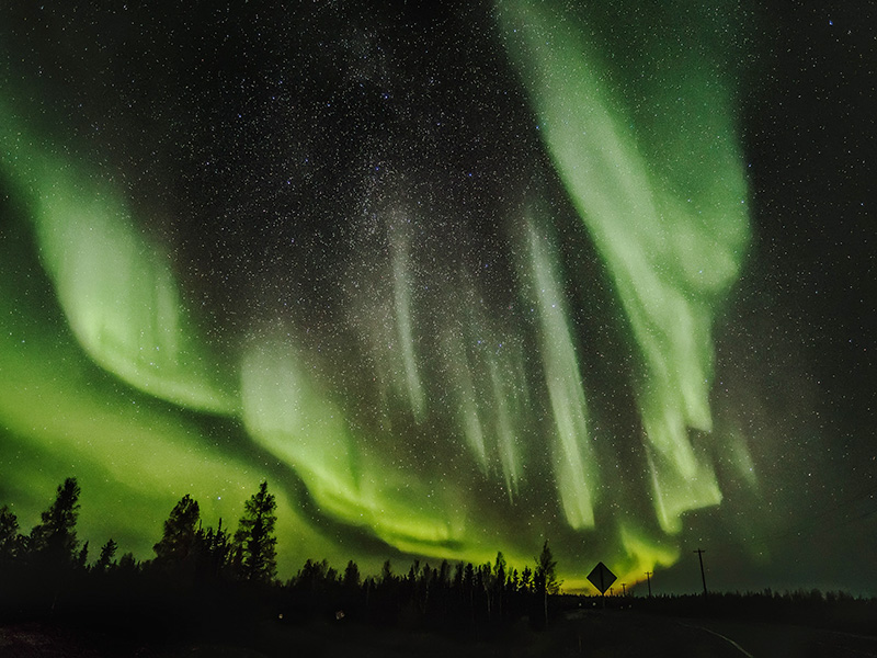 CteinGreen_Aurora-sm