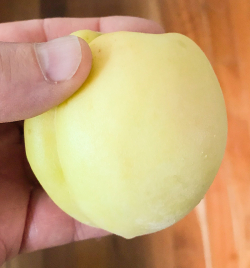 Peach5