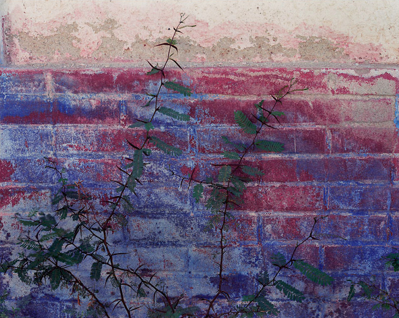 Blog350 Painted Wall in El Triunfo