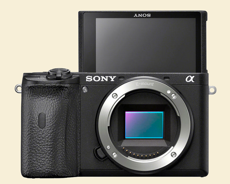 Sony A6600