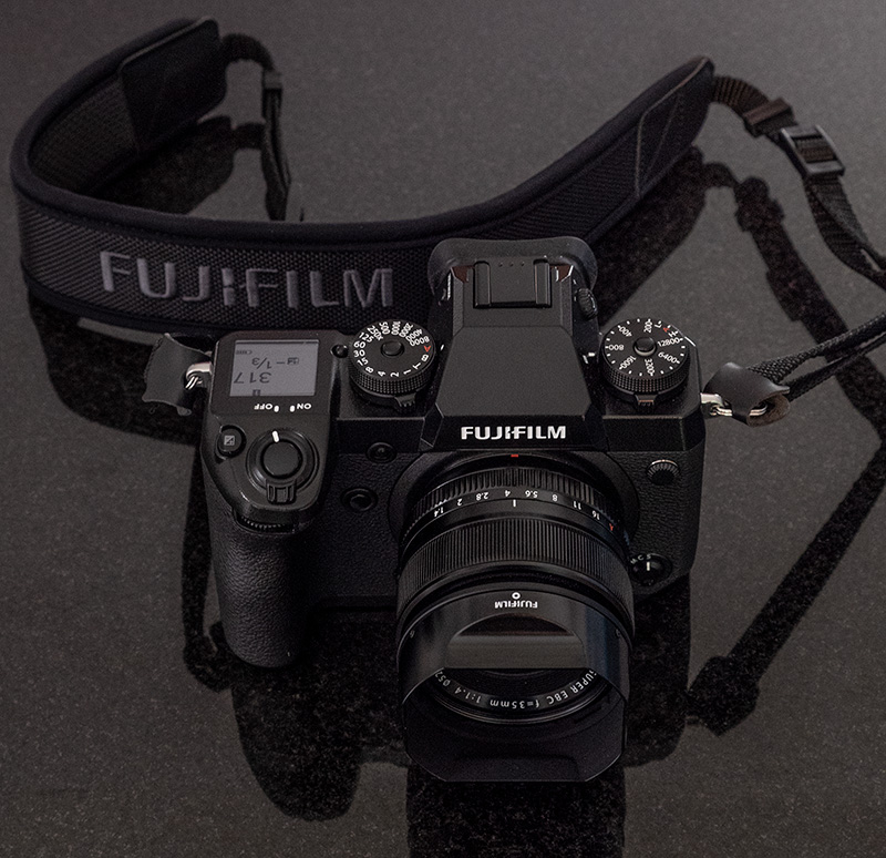 Fuji portrait