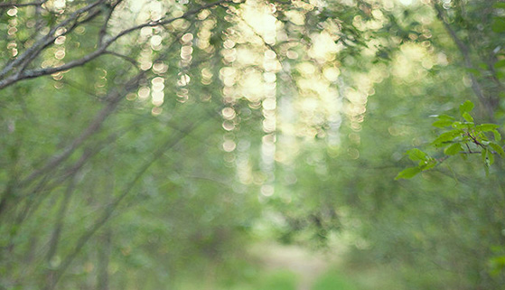 Blur-2
