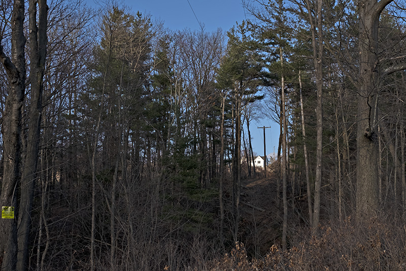 House in woods-small-2