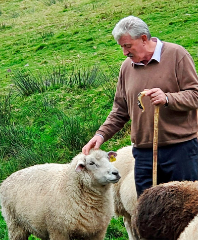 Kells Sheep Centre