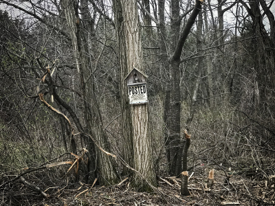 Posted-small-2