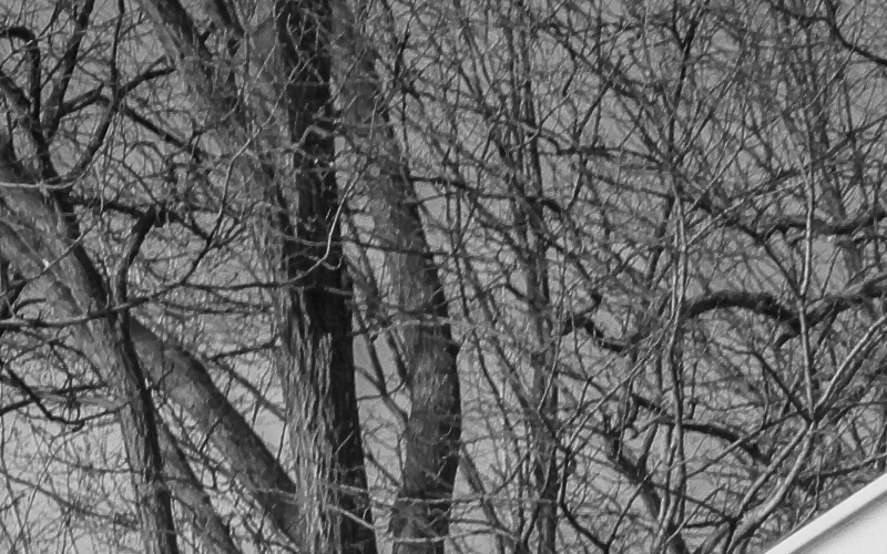 Rawcomp-2-ir