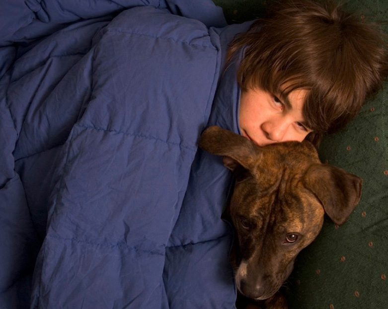 Zander with lulu