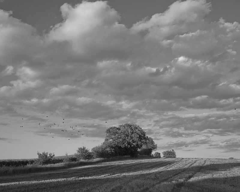 BW40