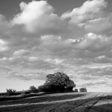 BW80