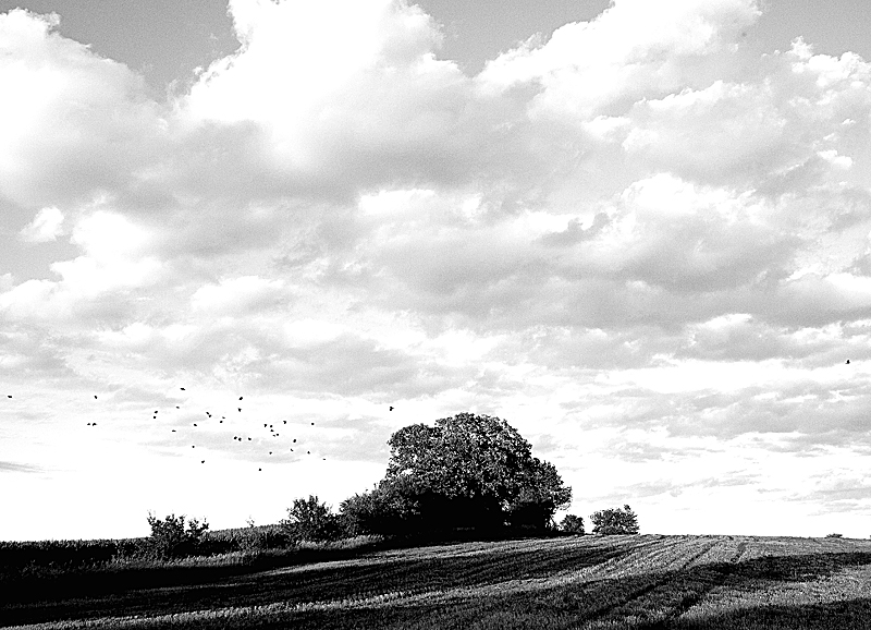 BW00