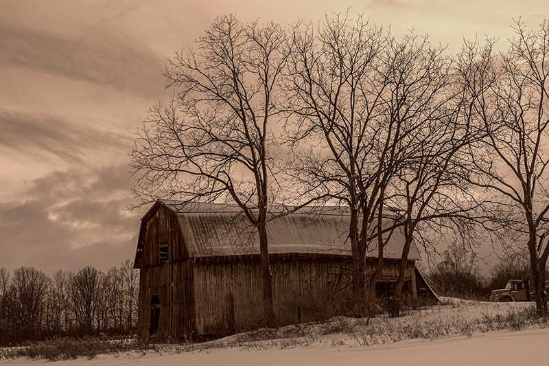 Sepia barn-small