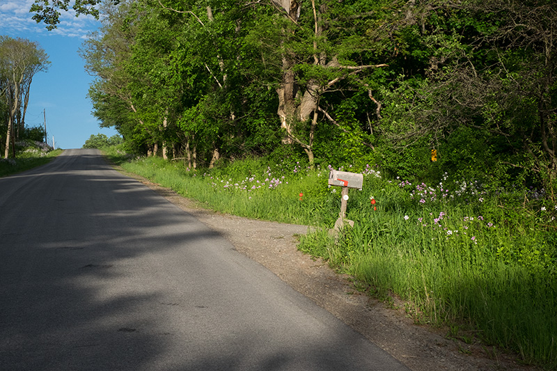 Walk-2-small Walk-2-small