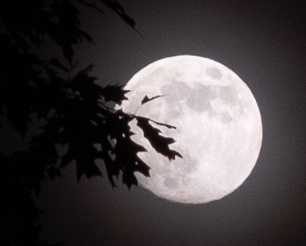 Moon-1