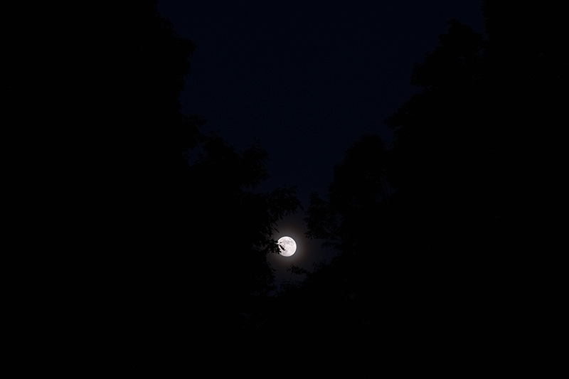 Moon-2