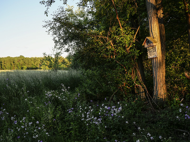 Sign-3-small