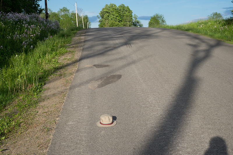 Walk-3-small Walk-3-small