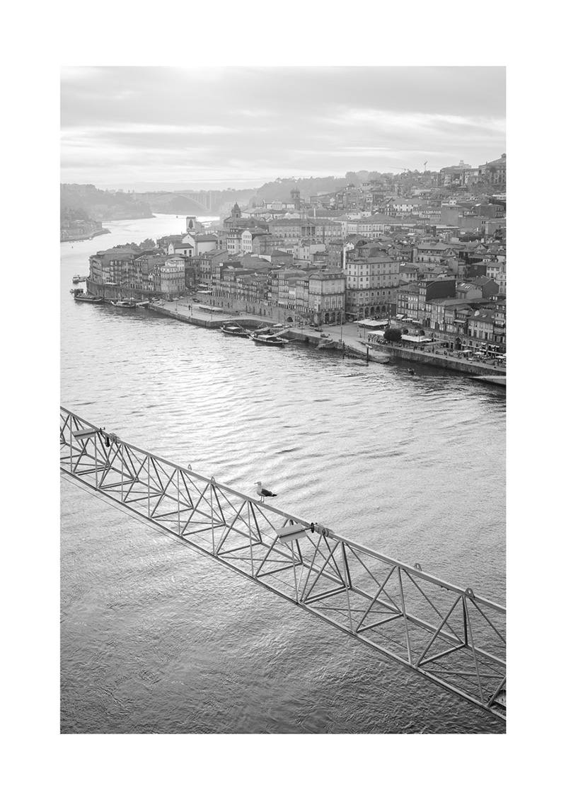 Nick Vincent Porto