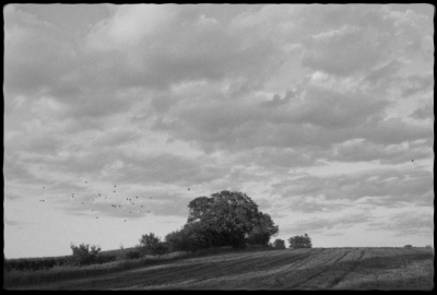 BW60