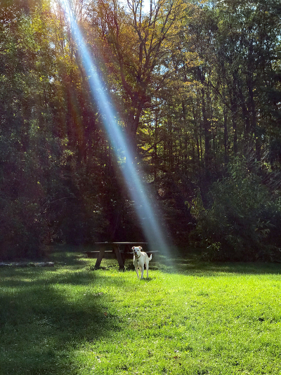 Nice flare small