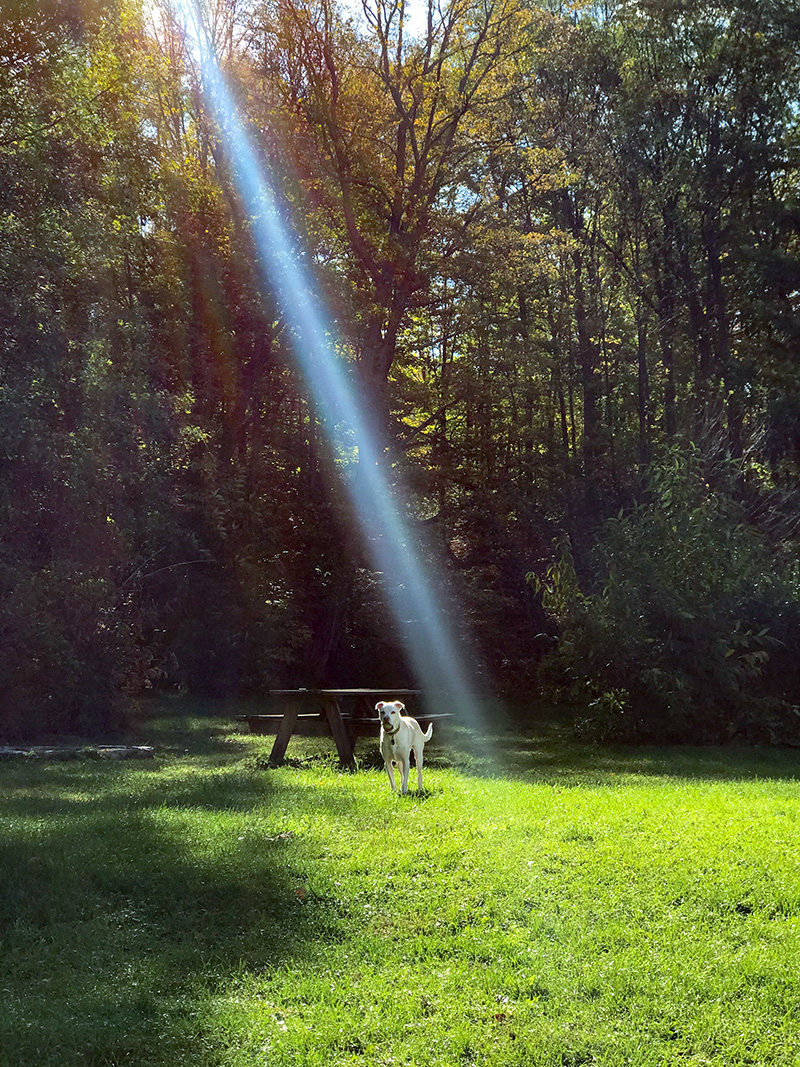 Nice flare small