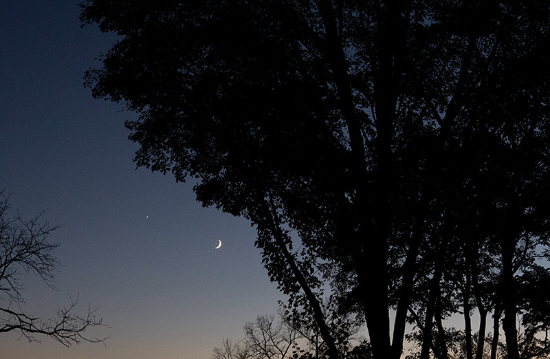 Moon and Venus