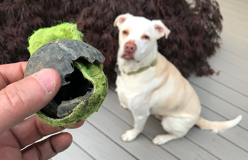 Butters new ball