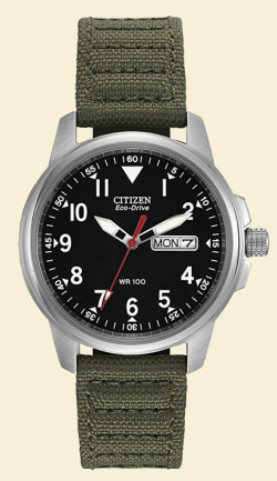 Citizen watch
