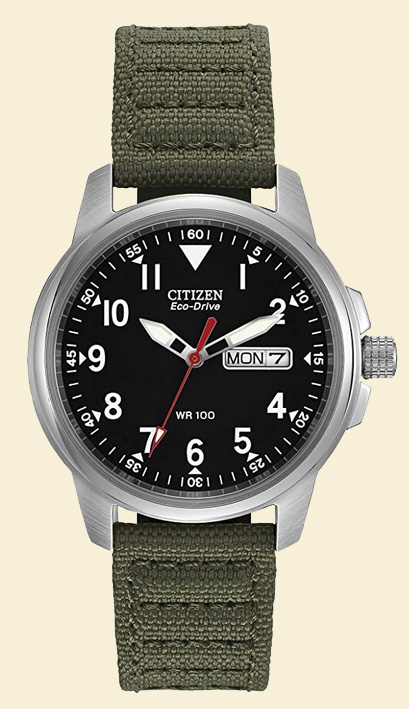 Citizen watch