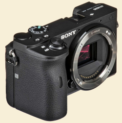 Sony a6600-3