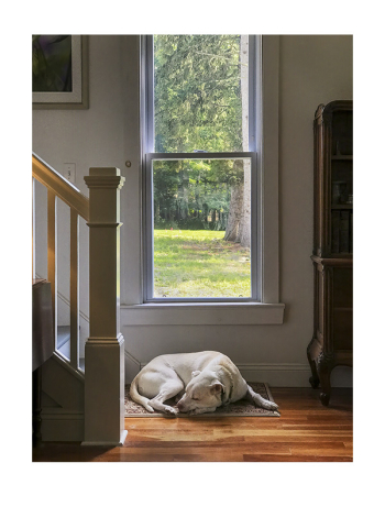 Butters window-22-border